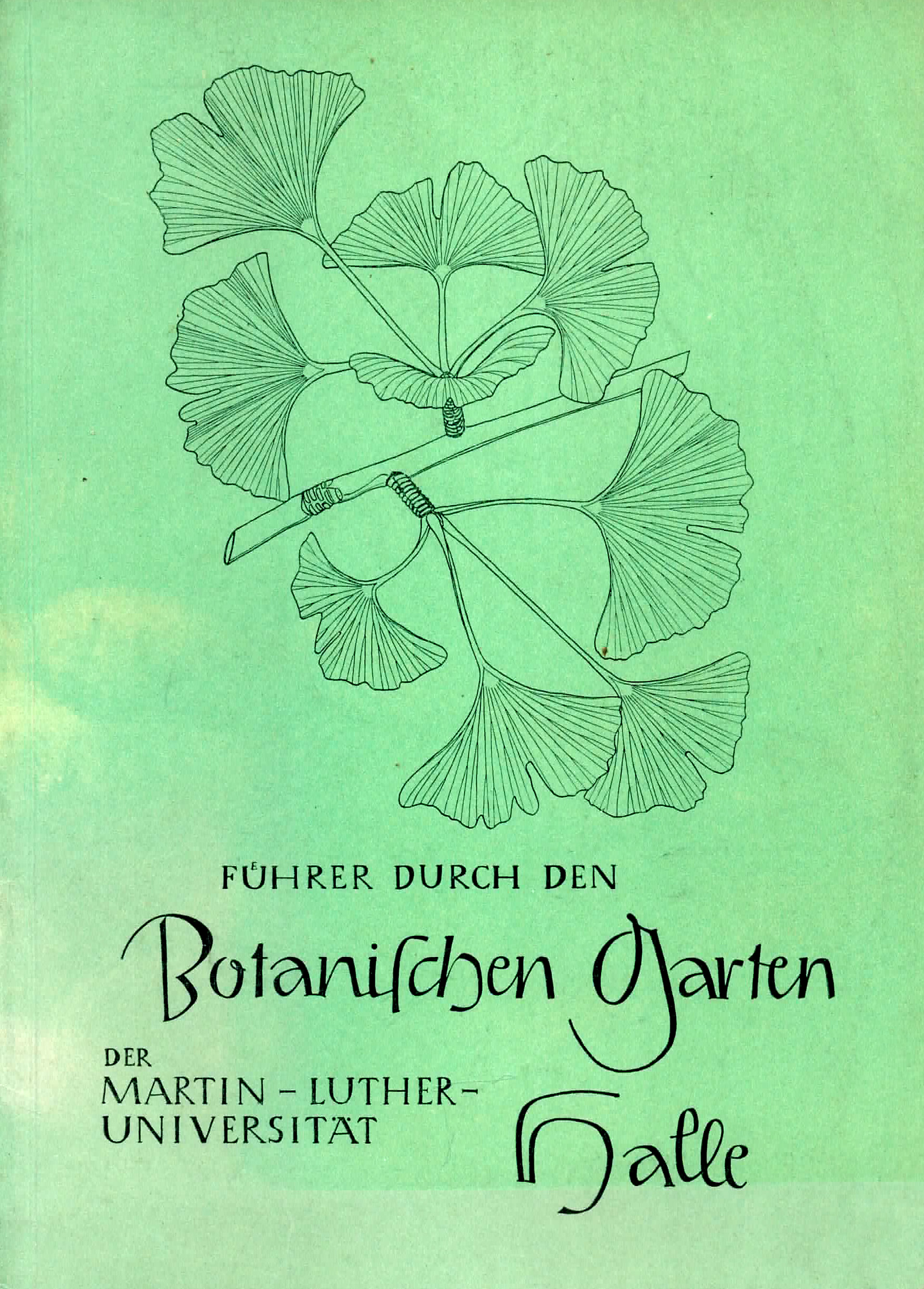 Führer durch den Botanischen Garten der Martin - Luther - Universität Halle - Geier, S. / Ebel, F.